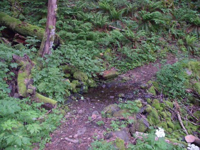 6.10.06 Table Mtn_3CR 008 